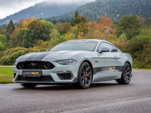 mustang
