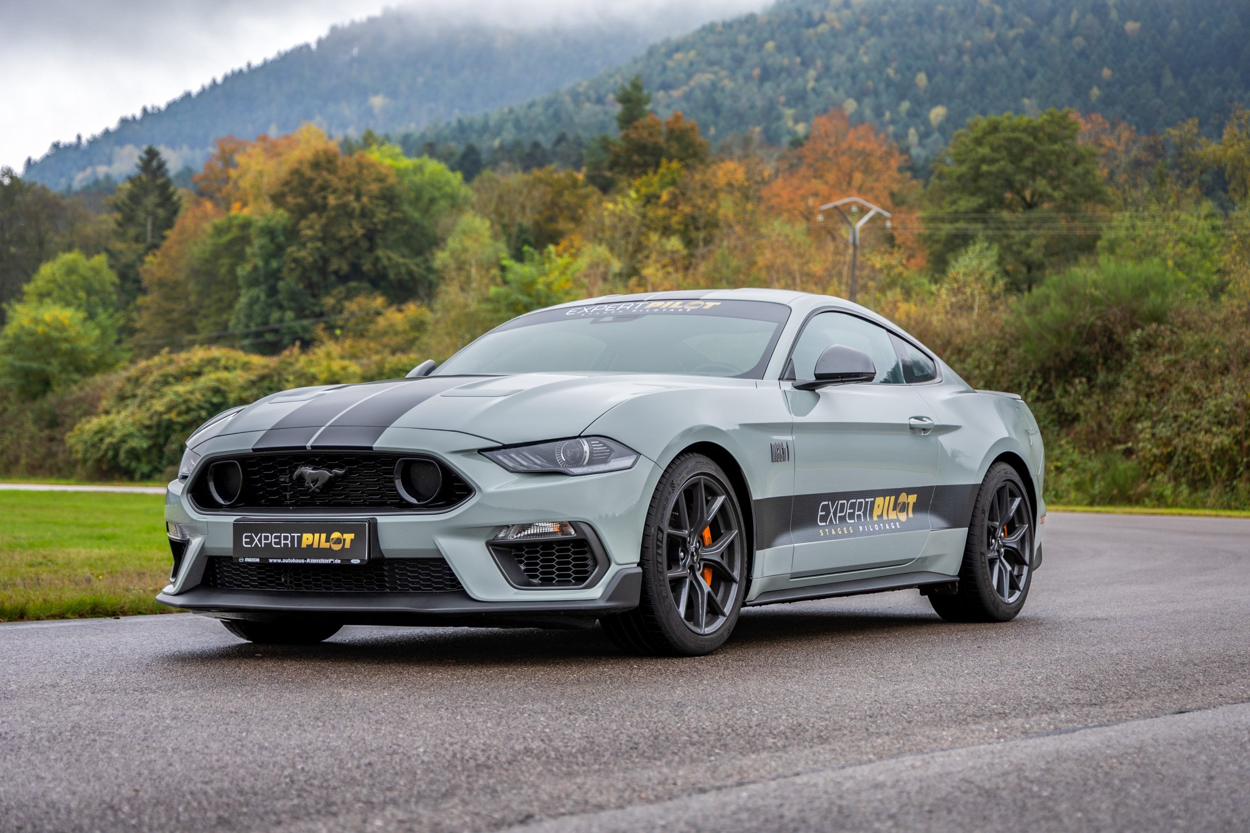Stages pilotage Mustang